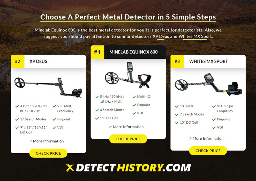 Metal Detector generator Detect History 2