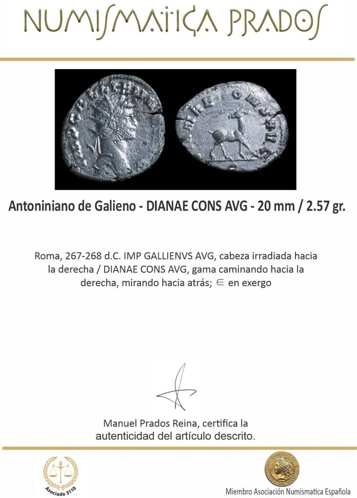 Римская империя. Галлиен (253–268 гг. н. э.). Посеребренный Antoninianus DIANAE CONS AVG (без резервной цены) #2.1