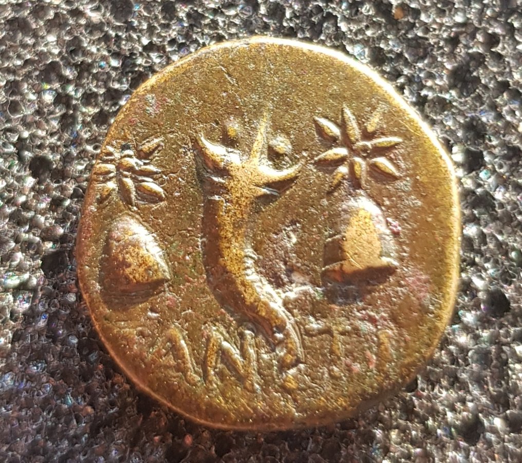 Киммерийский Боспор. Æ Пантикапей ок. 150–120 гг. до н. э. (без резервной цены) # 1.1