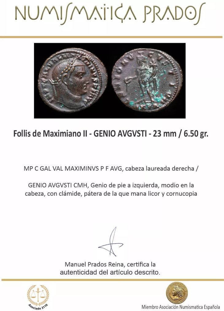 Римская империя. Максимин II (311–313 гг. н. э.). Follis GENIO AVGVSTI (без резервной цены) #2.1