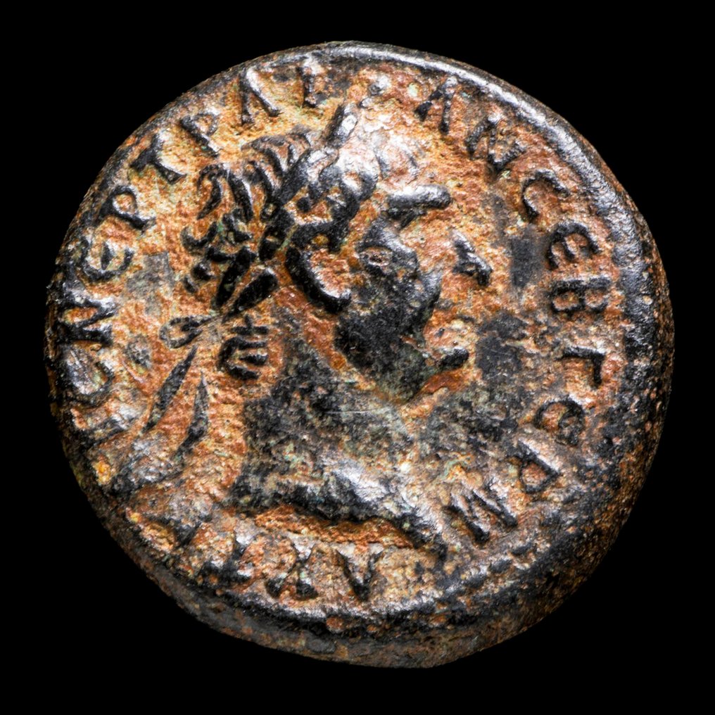 Римская империя (провинциальная). Траян (98-117 гг. н.э.). Селевкида и Пиера (без резервной цены) #1.1