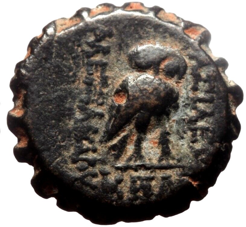 Царство Селевкидов. Клеопатра Тея и Антиох VIII 125-121 до н.э. AE Serrate (без резервной цены) #1.1