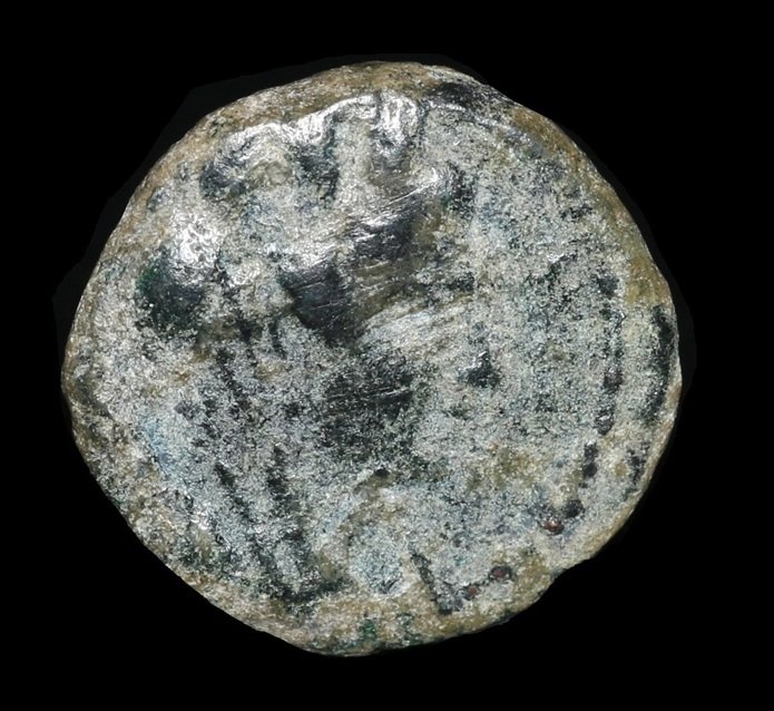 Финикия, Тир AE12 - Год 243 (117/118 н.э.) - Бесплатная доставка по всему миру (без резервной цены) #1.1