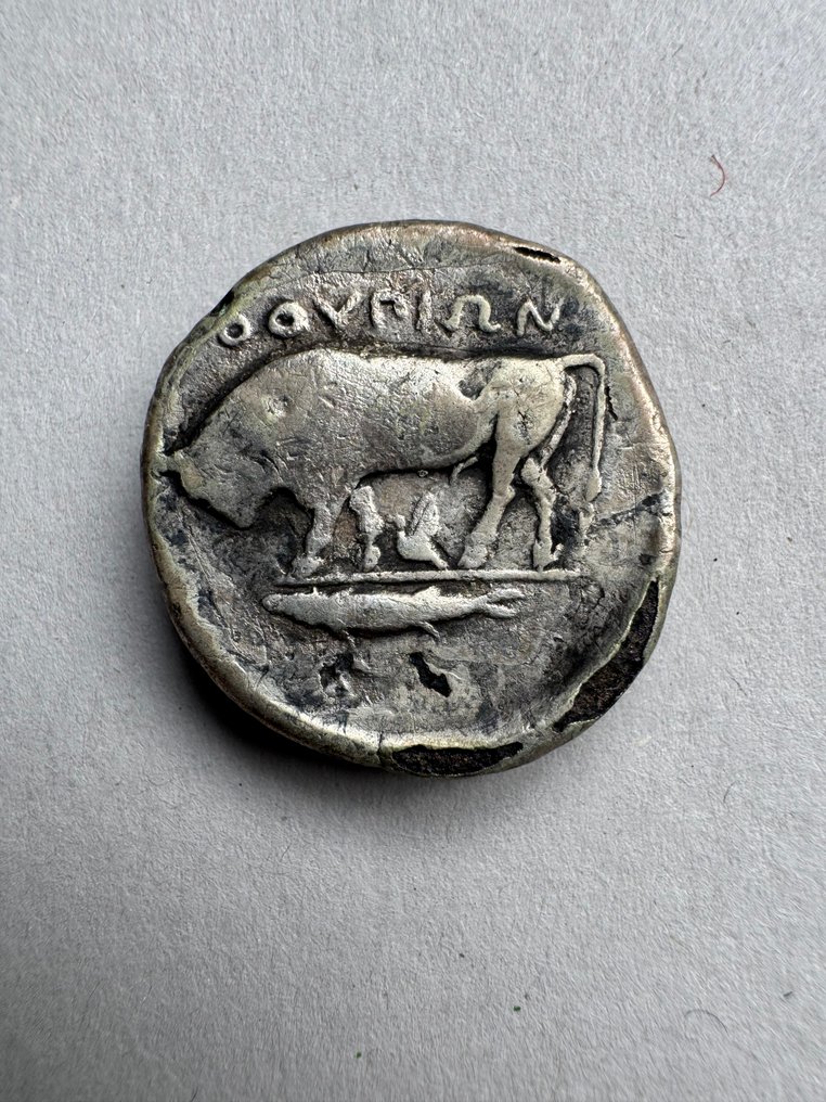 Lucania, Thurioi Didrachm suberata 425-400 A.C. - бесплатная доставка (без резервной цены) #1.1